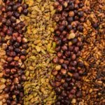 lentils
